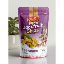 Jackfruit Chips (keripik nangka)